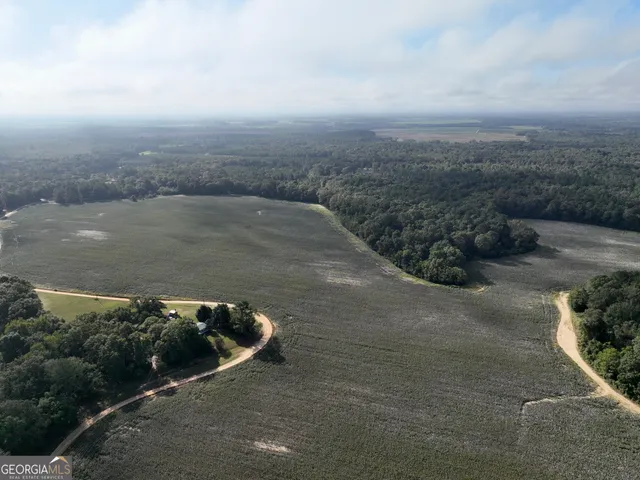 a view of a yard with an outdoor space
