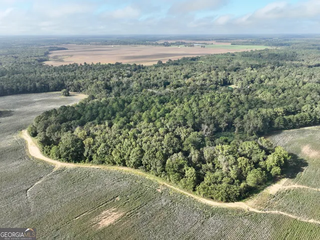 a view of a field with an ocean