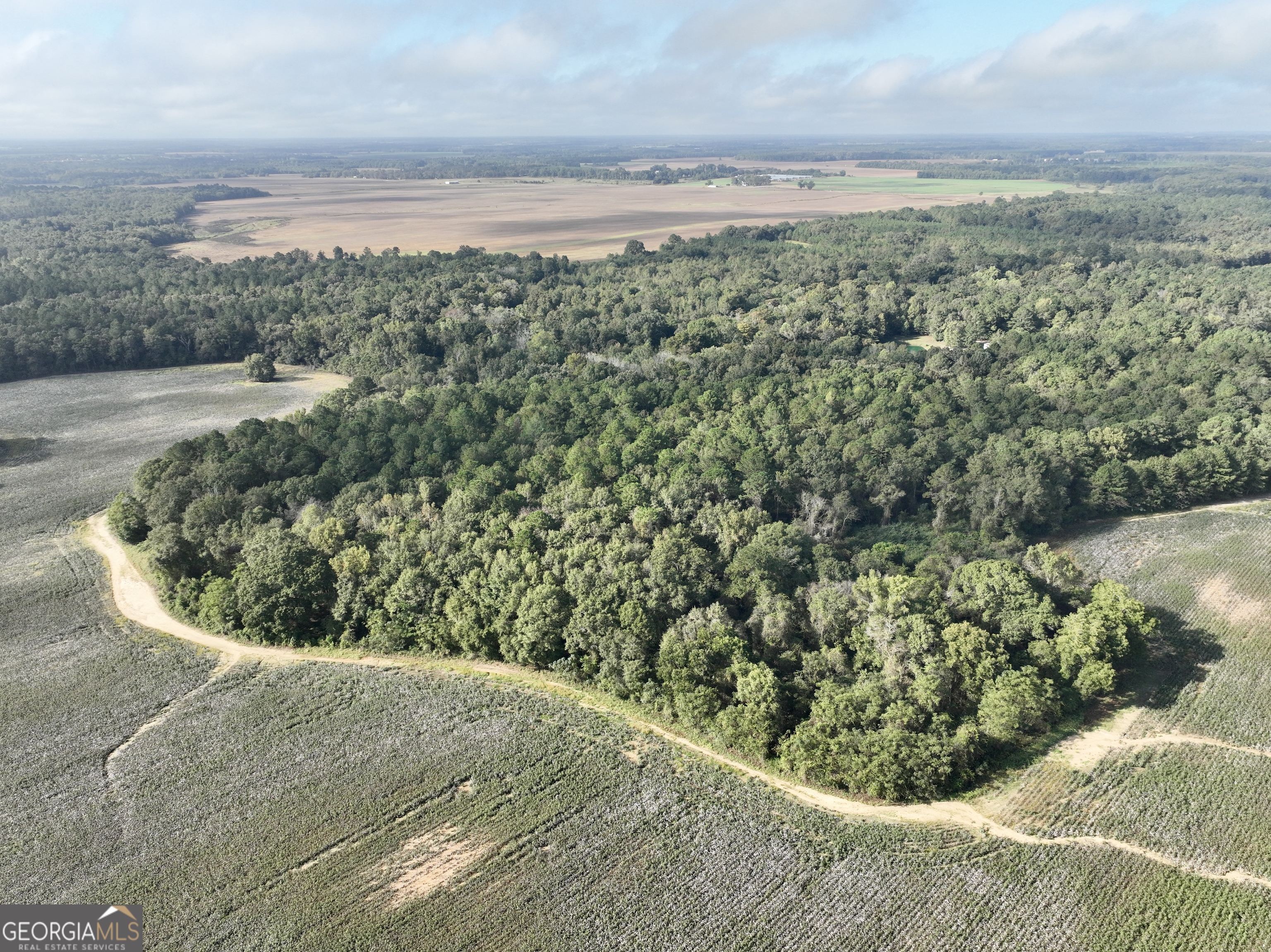 136 Pope Road Pineview, GA 31071 - Photo 17 of 58 a view of a bunch of trees and bushes
