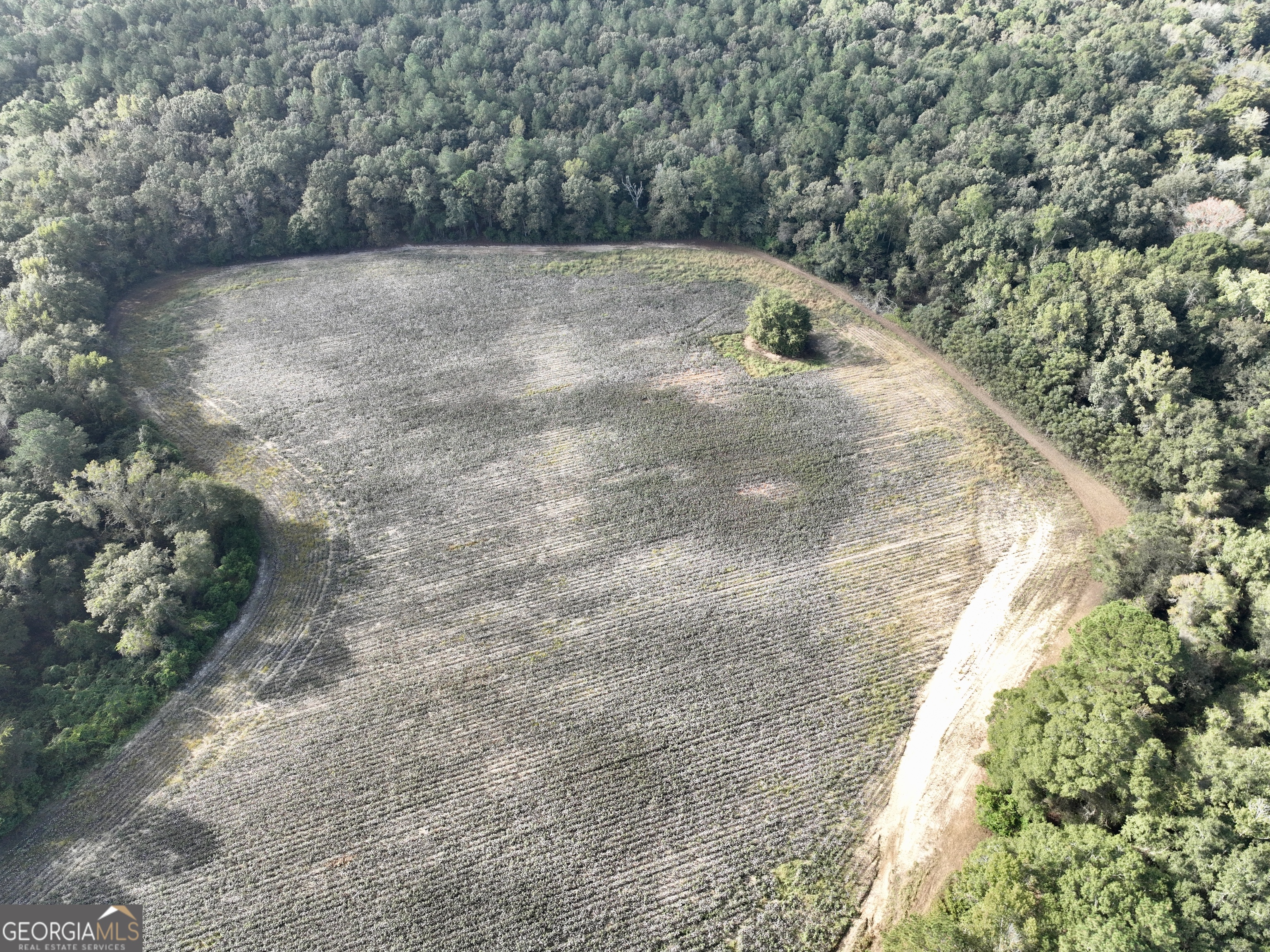 136 Pope Road Pineview, GA 31071 - Photo 18 of 58 a view of a dry yard