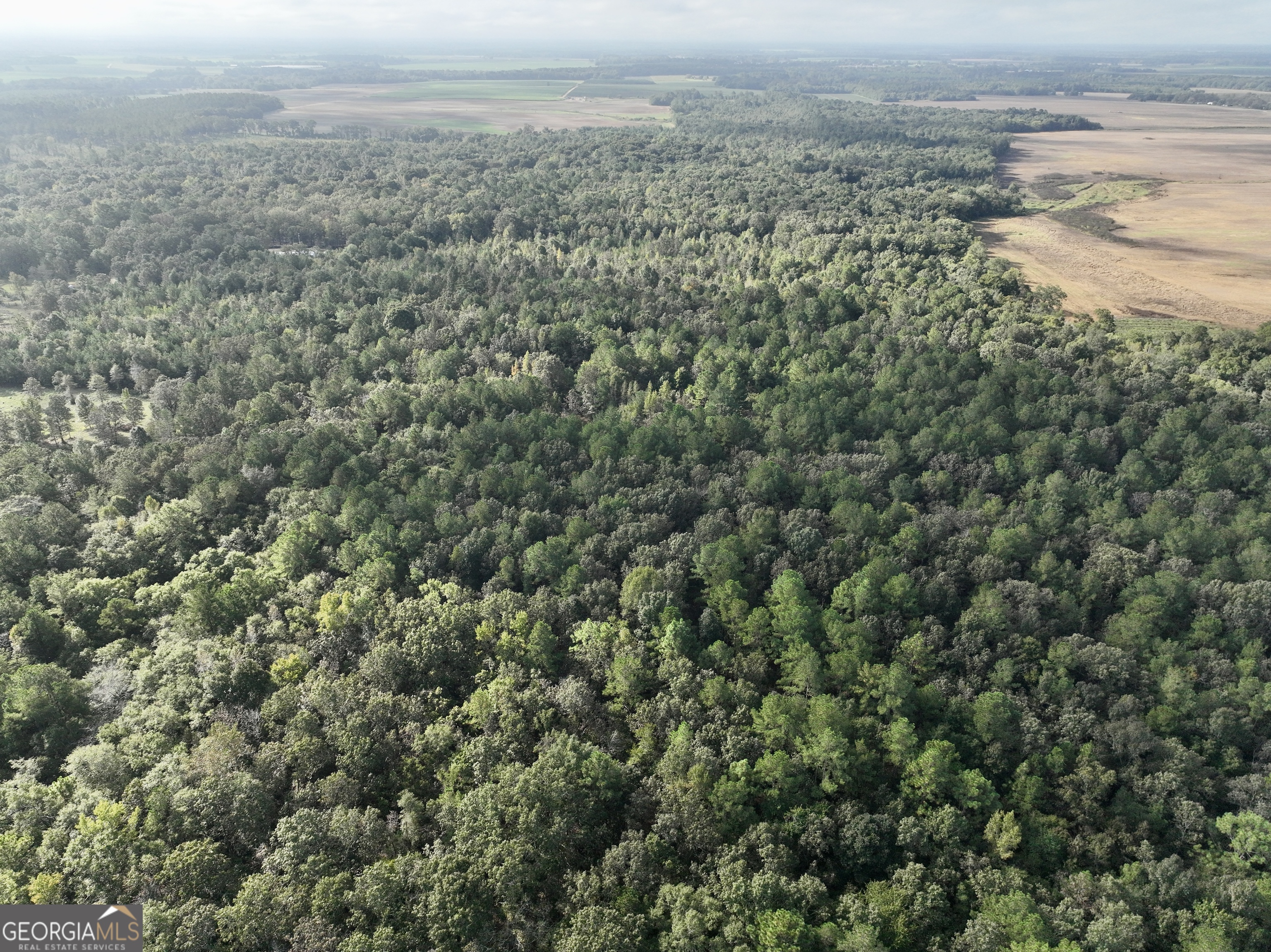 136 Pope Road Pineview, GA 31071 - Photo 19 of 58 an aerial view of ocean and trees