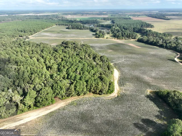 a view of a garden with a pathway