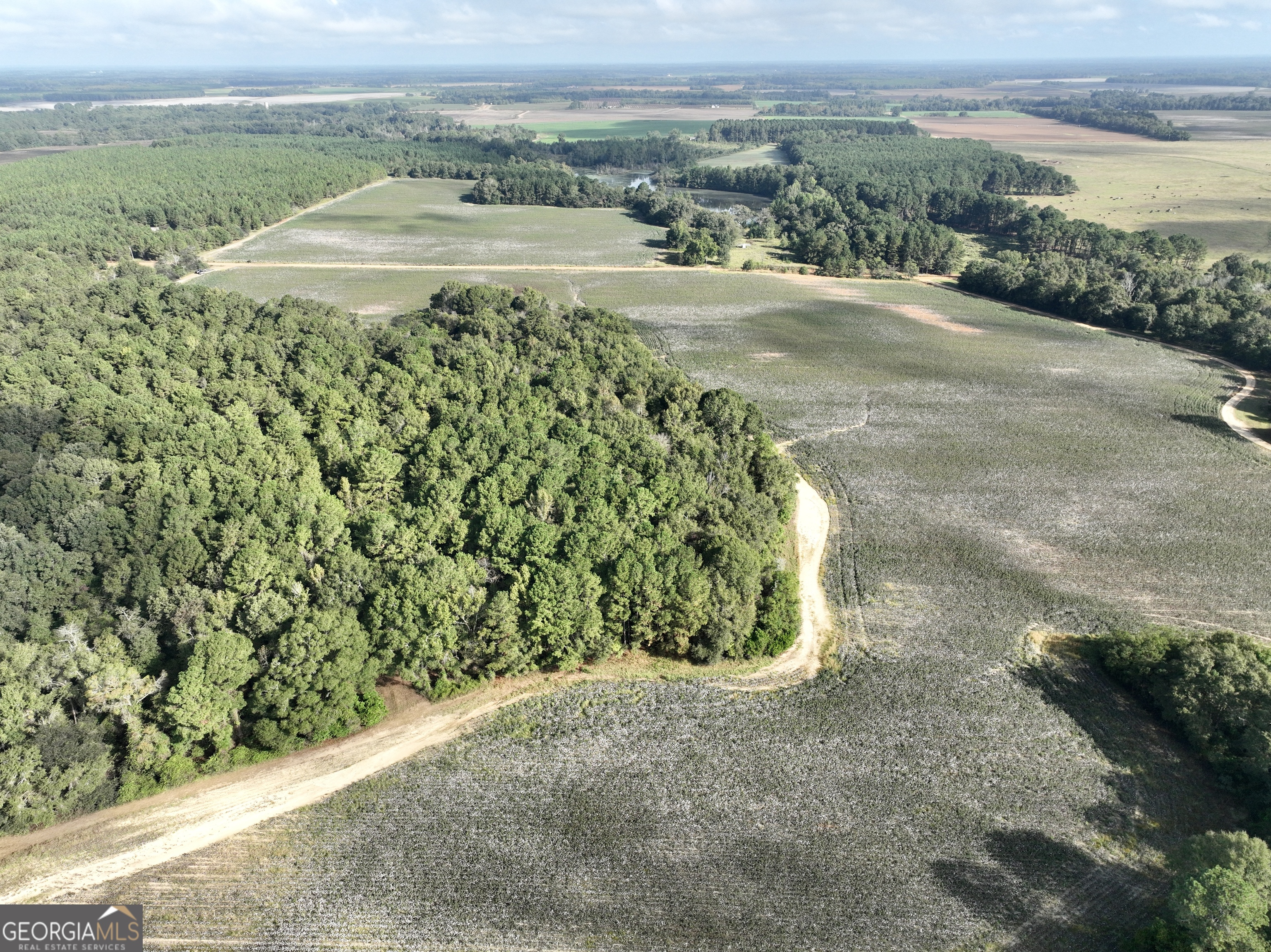 136 Pope Road Pineview, GA 31071 - Photo 20 of 58 a view of a yard with an outdoor space