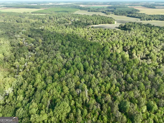a view of an outdoor space and a yard