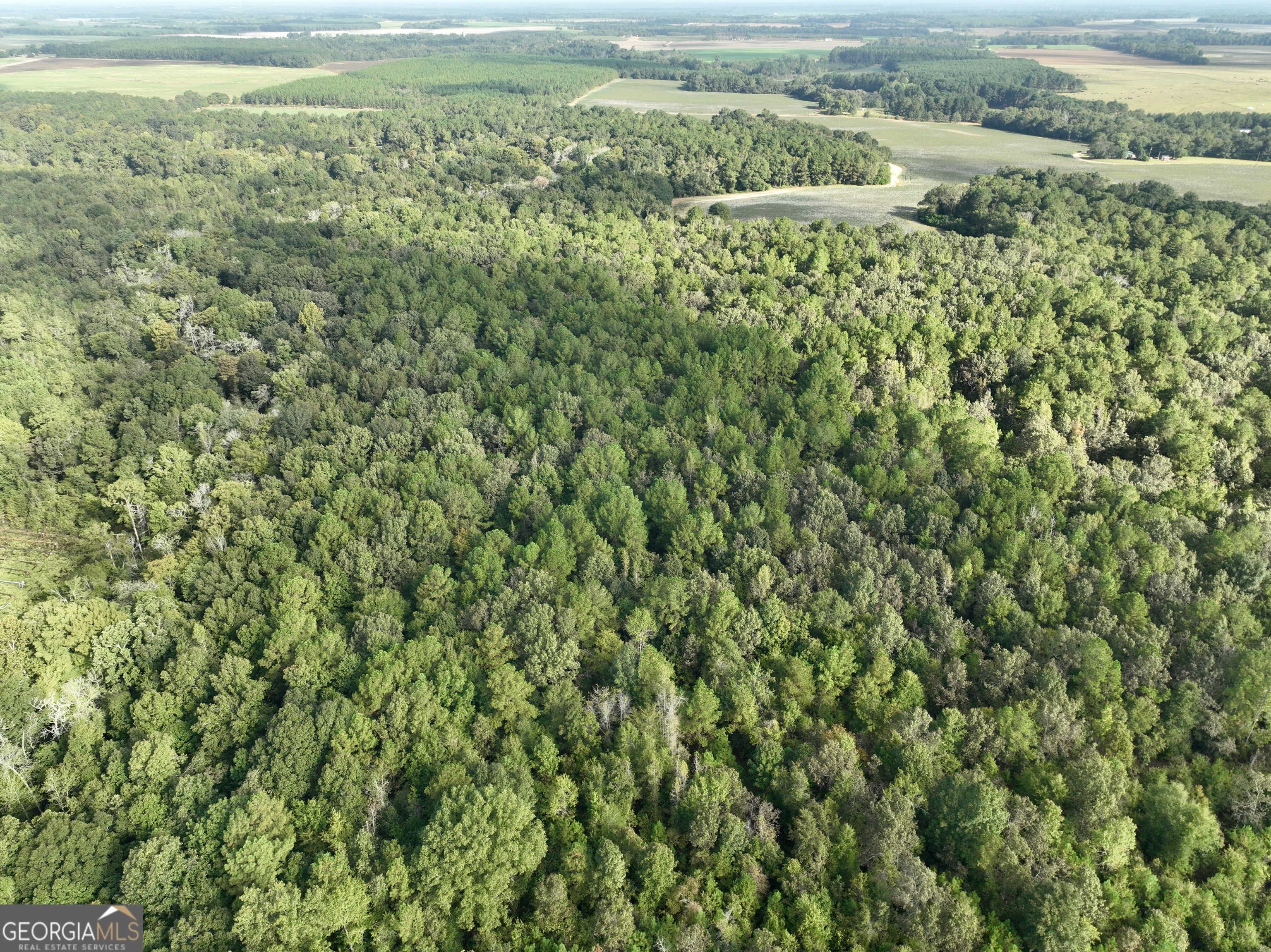 136 Pope Road Pineview, GA 31071 - Photo 2 of 58 an aerial view of residential houses with outdoor space and trees