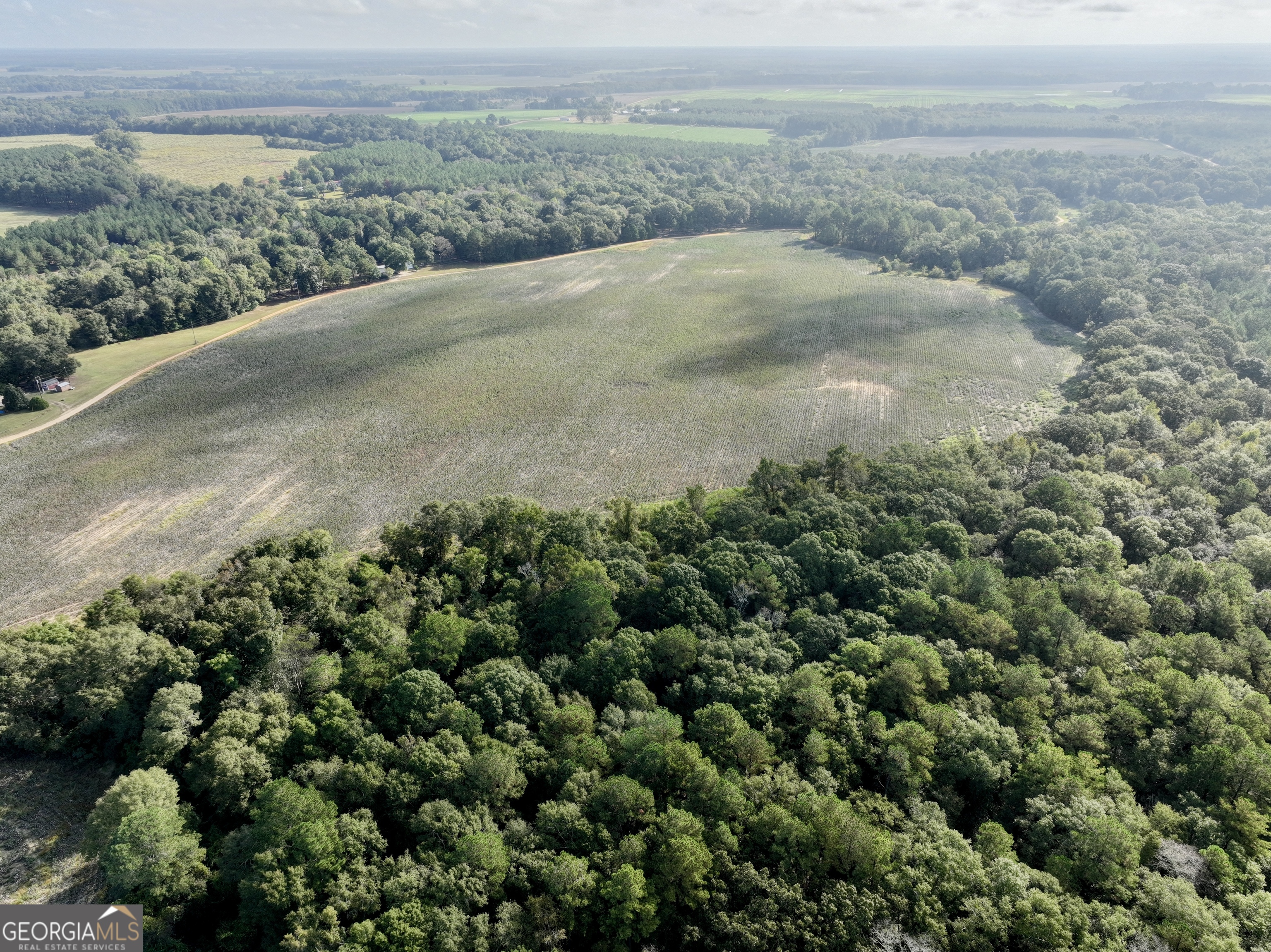 136 Pope Road Pineview, GA 31071 - Photo 21 of 58 a view of a field with an ocean