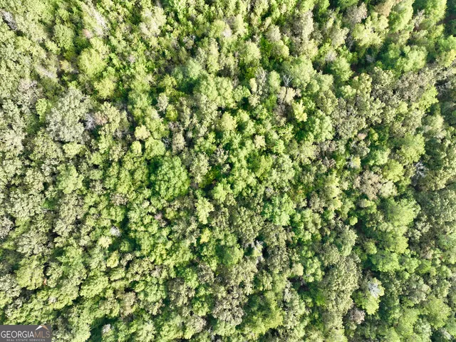 a view of a yard with trees