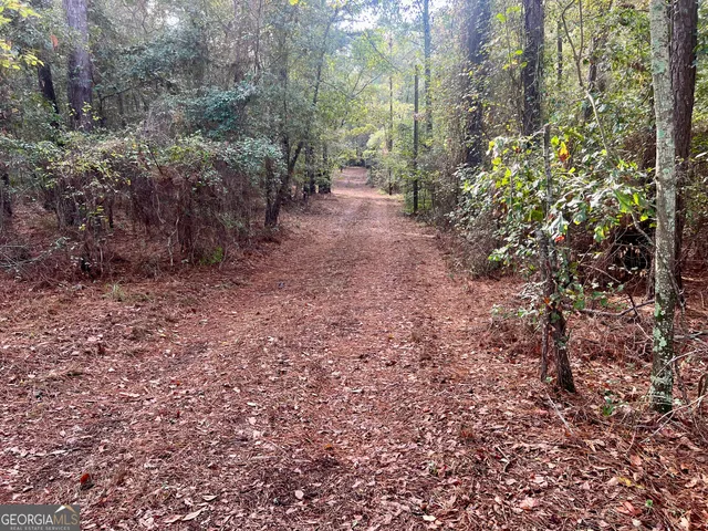 a view of a chairs and table in backyard