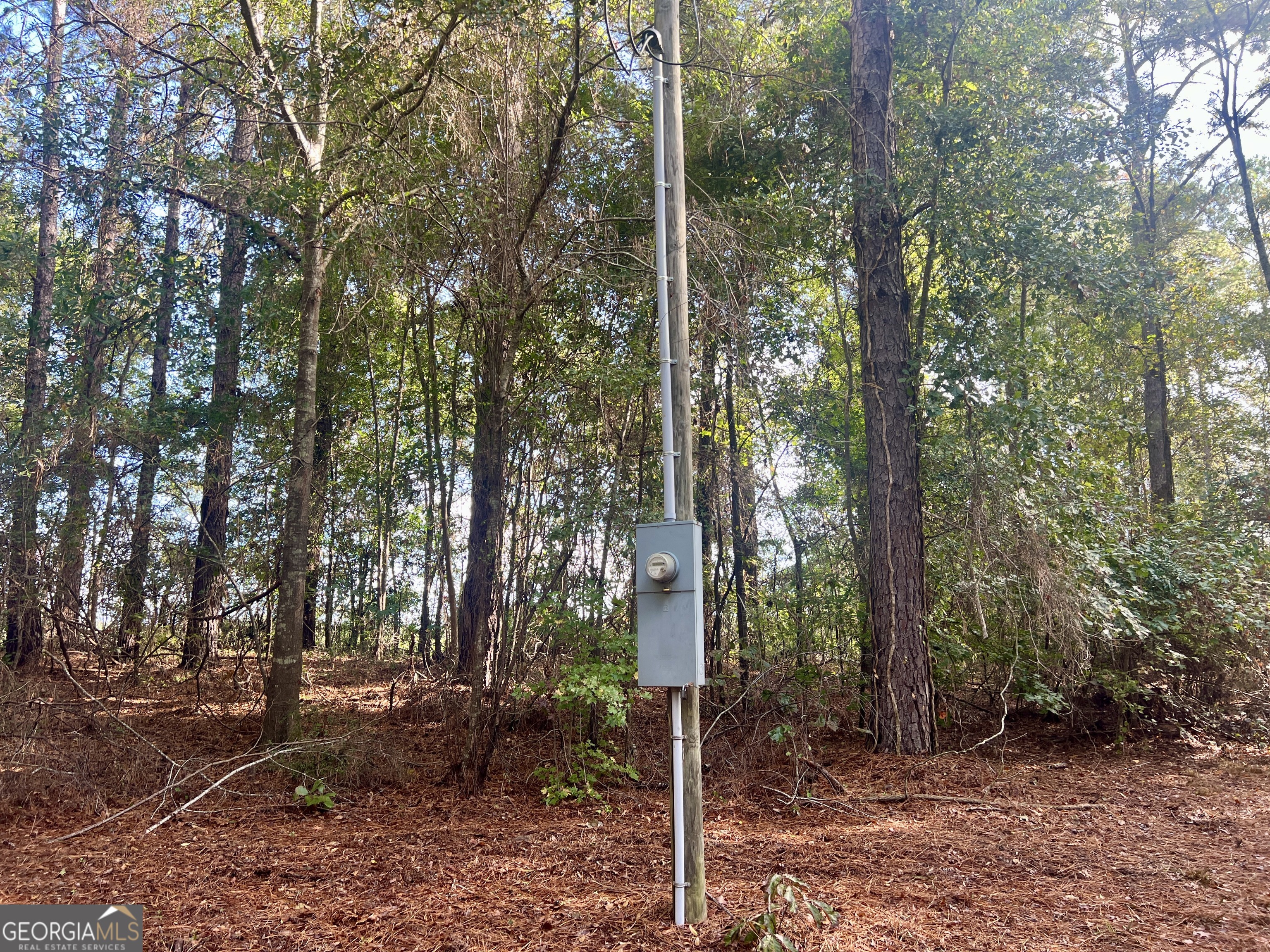 136 Pope Road Pineview, GA 31071 - Photo 27 of 58 a view of a forest filled with trees
