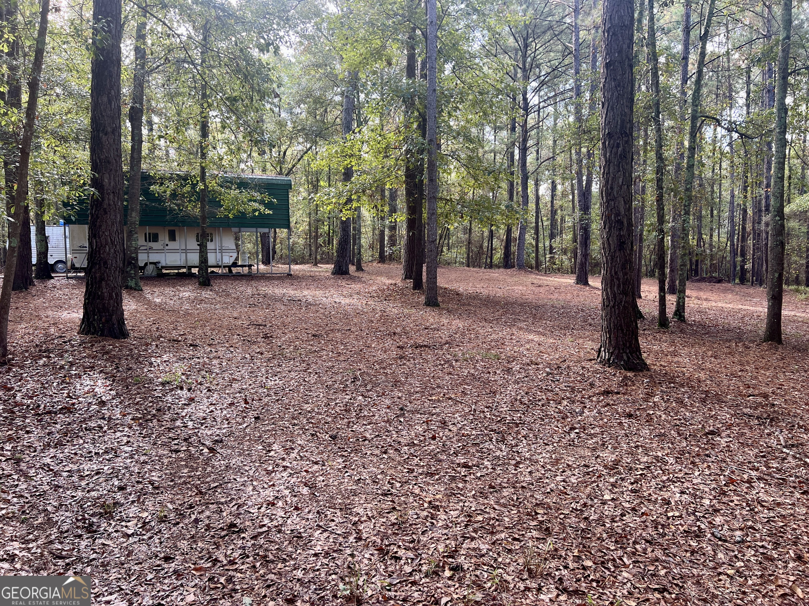 136 Pope Road Pineview, GA 31071 - Photo 29 of 58 a view of a forest that has large trees