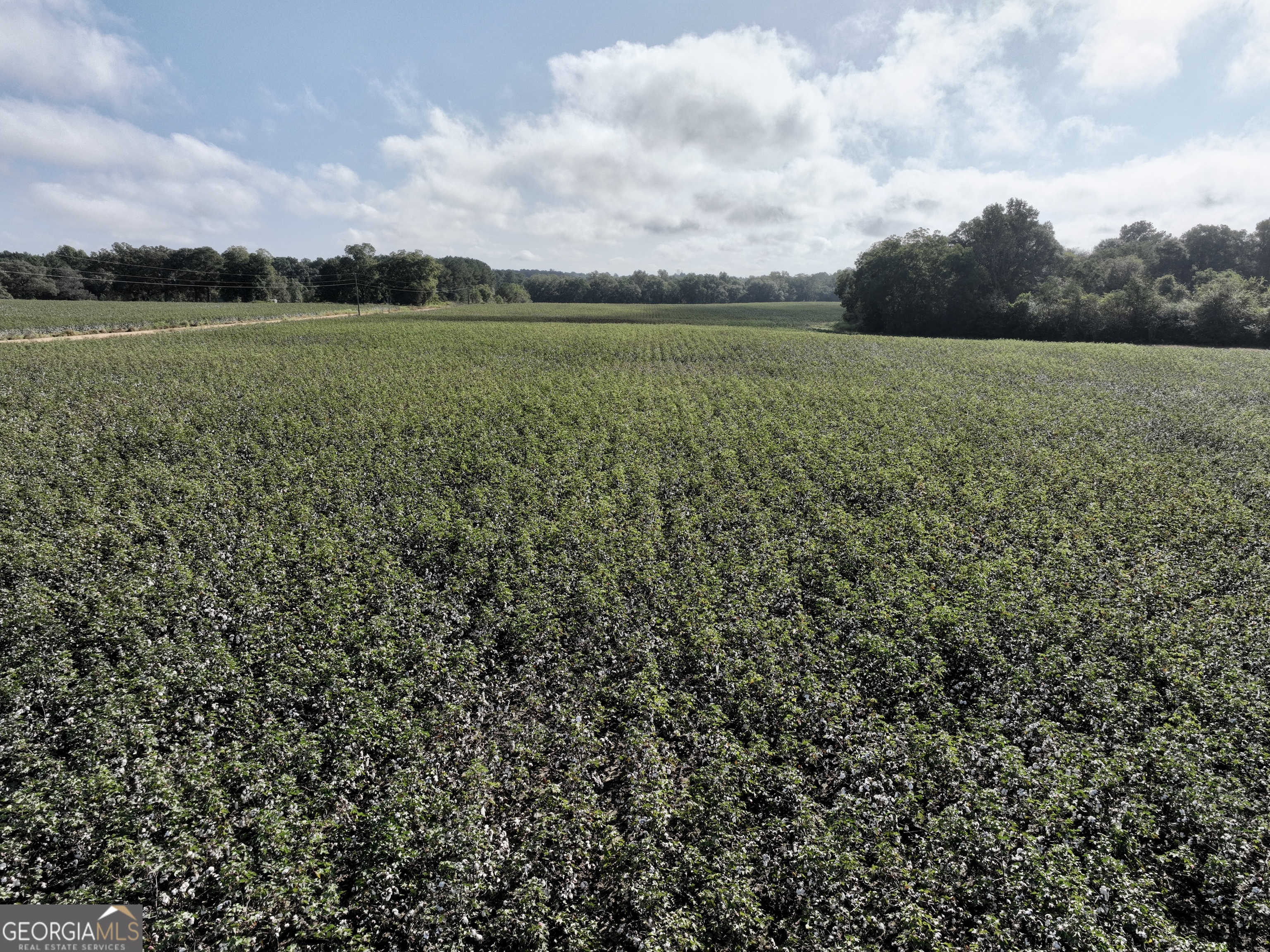 136 Pope Road Pineview, GA 31071 - Photo 3 of 58 a view of an outdoor space and a yard