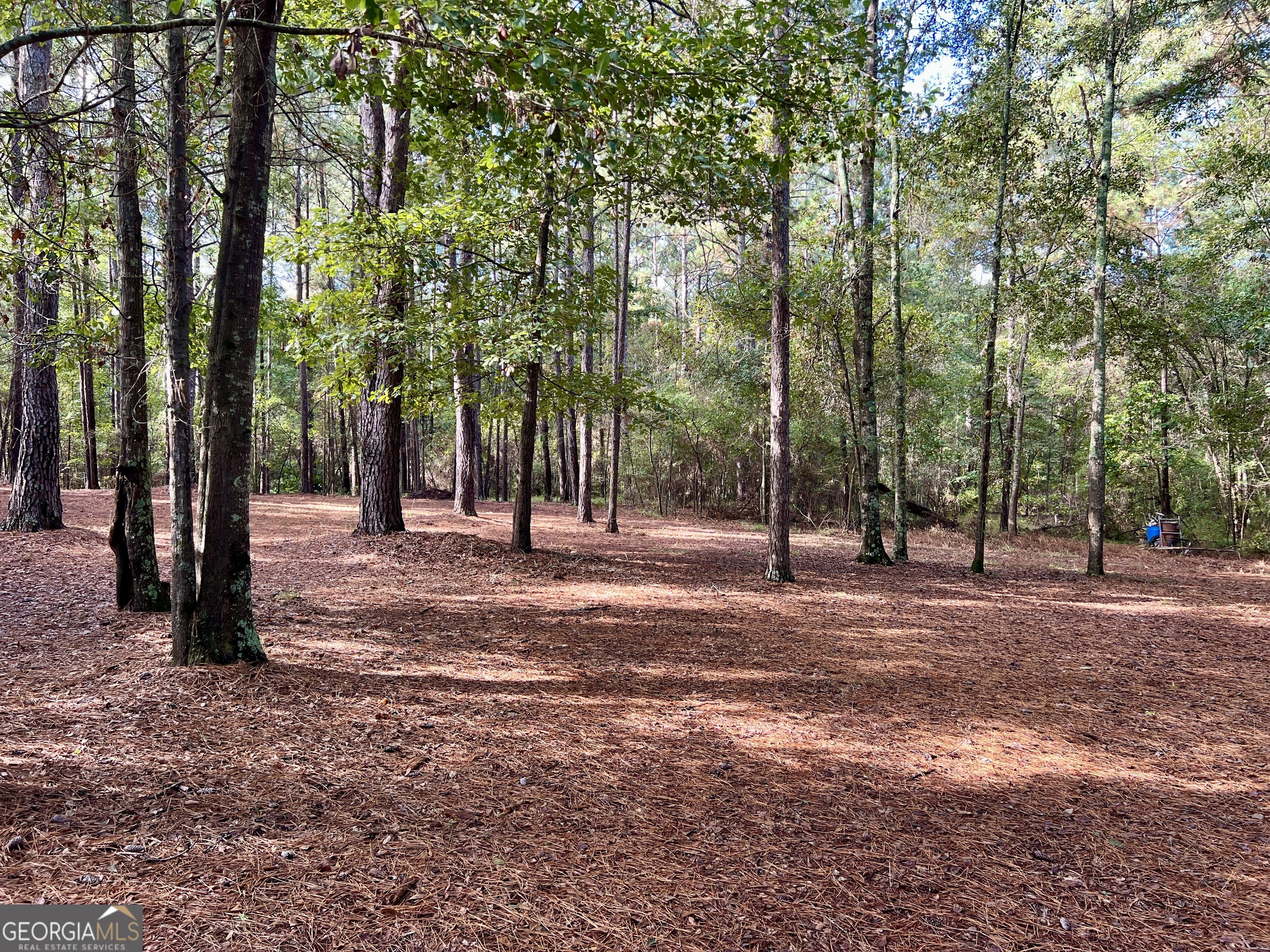 136 Pope Road Pineview, GA 31071 - Photo 31 of 58