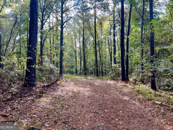 a view of outdoor space with lots of trees