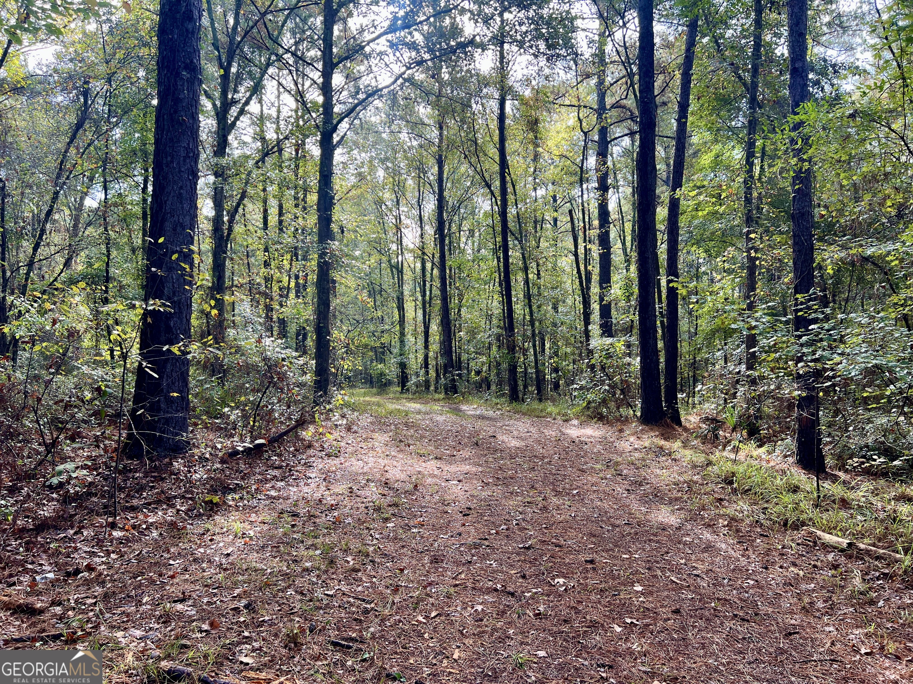 136 Pope Road Pineview, GA 31071 - Photo 32 of 58 a view of outdoor space and trees