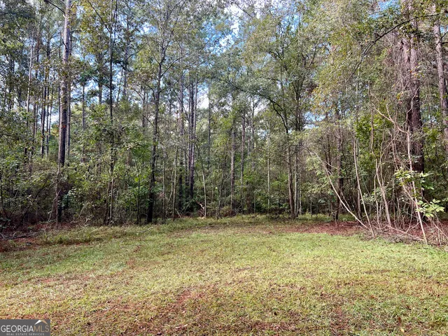 a view of yard with green space