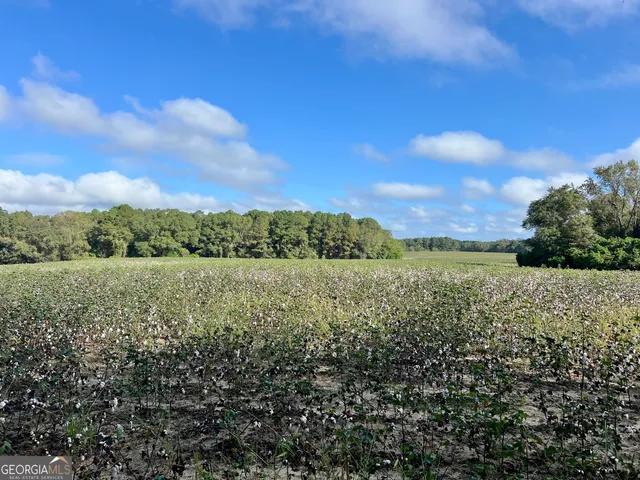 a view of a backyard with plants and trees