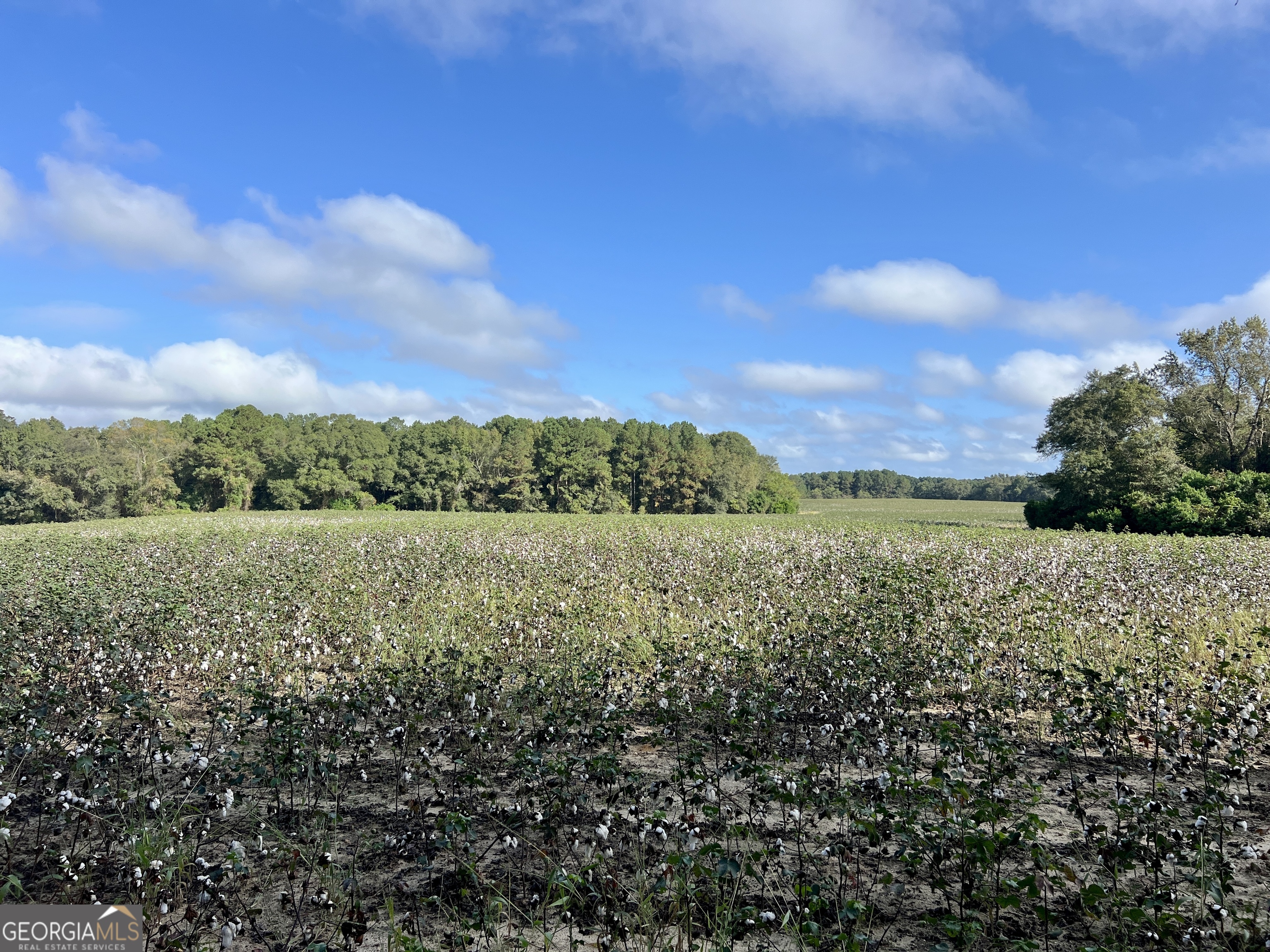 136 Pope Road Pineview, GA 31071 - Photo 34 of 58 a view of a lake with houses in back