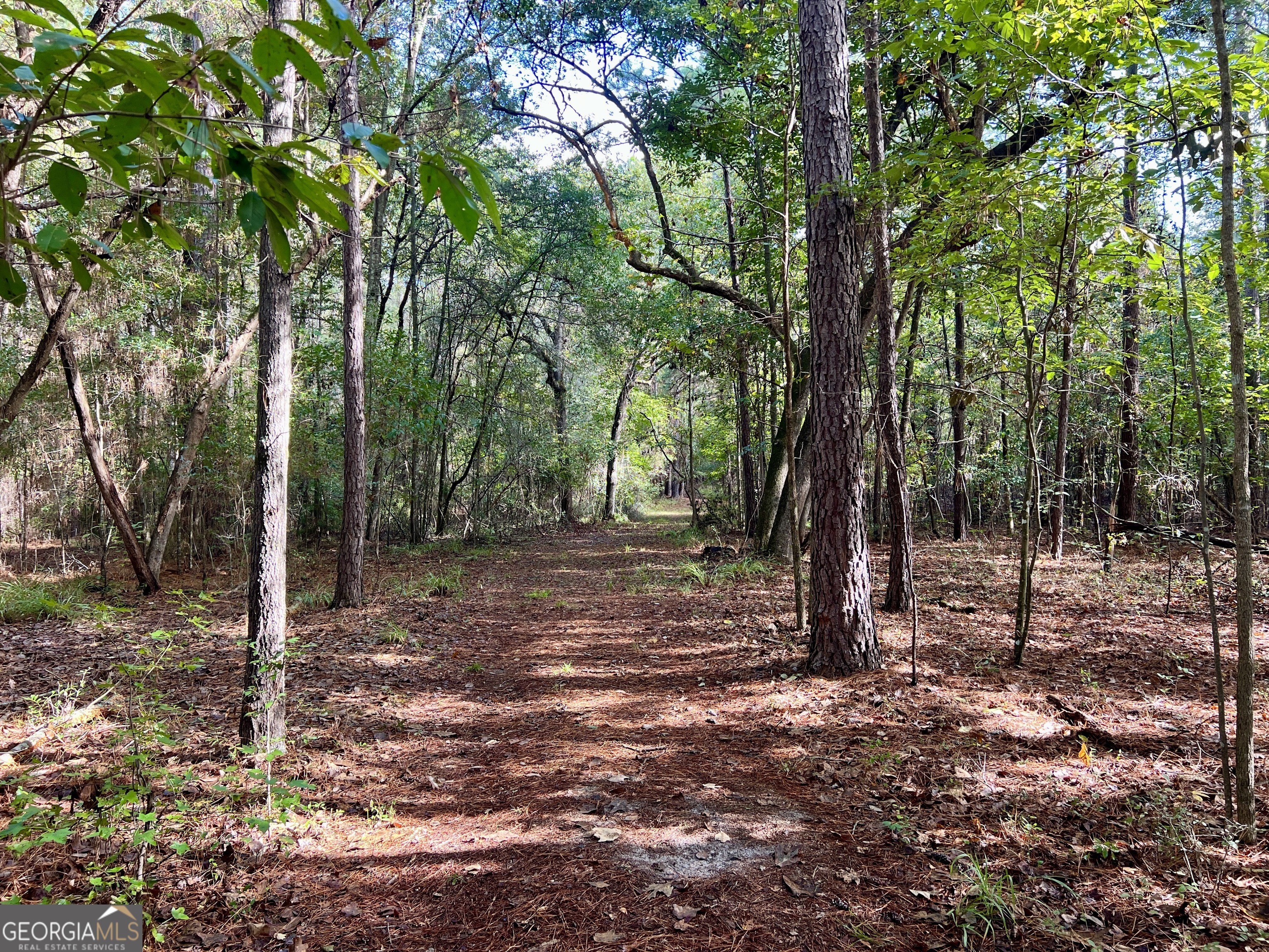 136 Pope Road Pineview, GA 31071 - Photo 37 of 58 a view of outdoor space with lots of trees