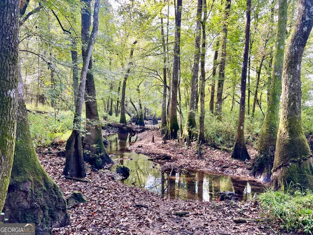 a backyard of a house with lots of green space and fog