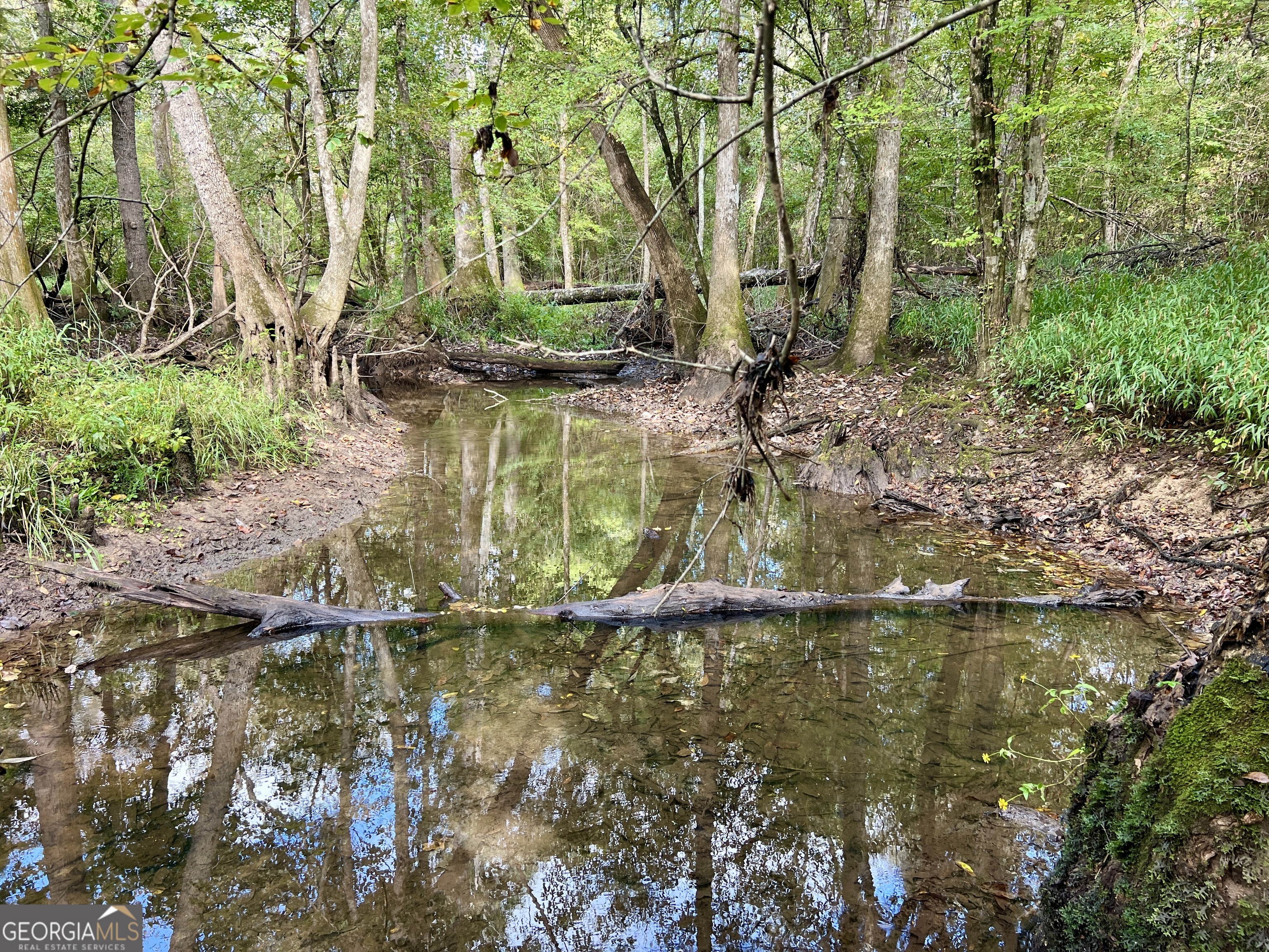 136 Pope Road Pineview, GA 31071 - Photo 41 of 58 a water fountain in middle of tall trees