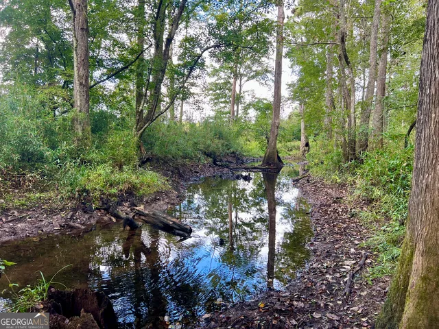a view of a green field
