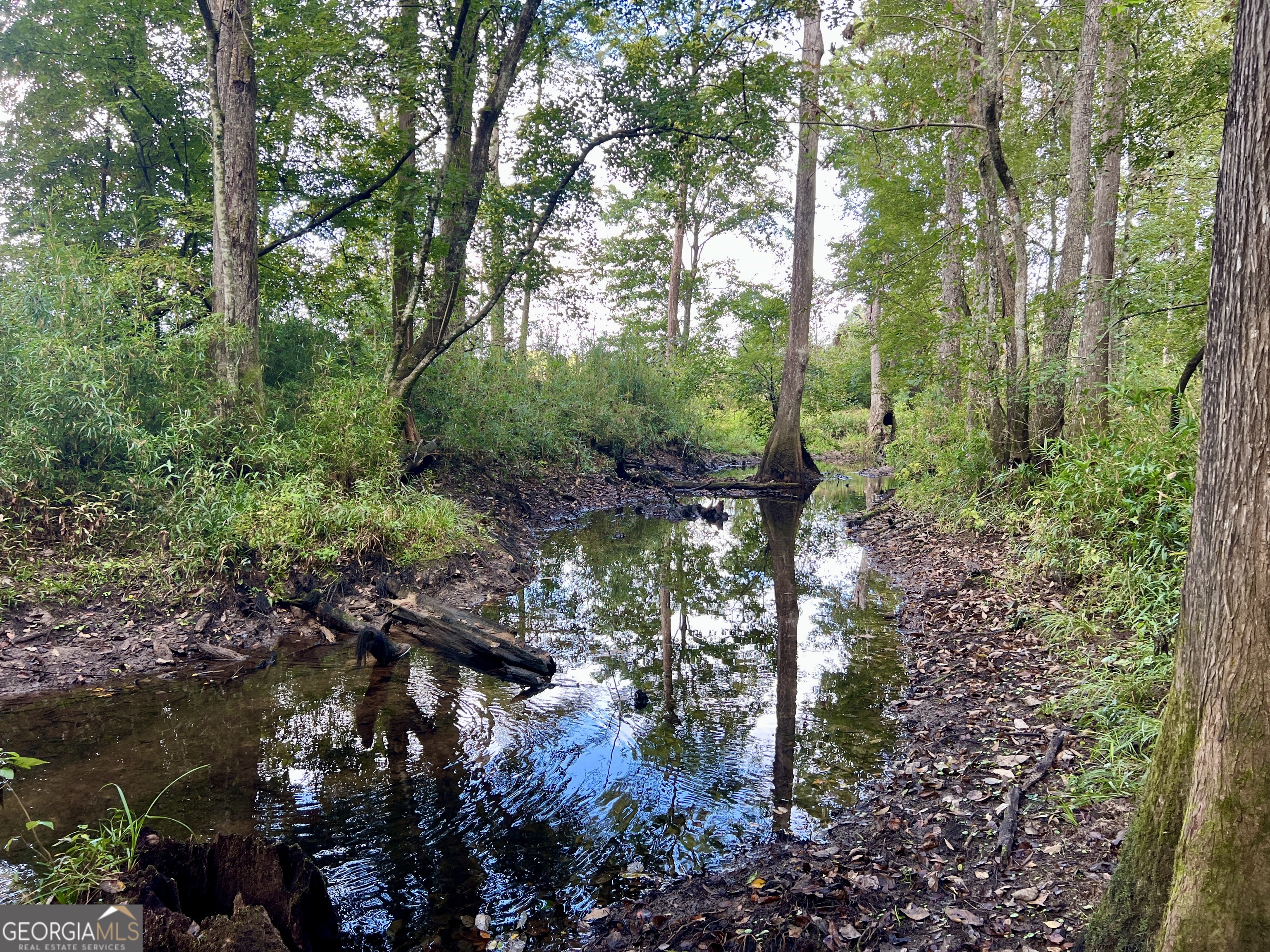 136 Pope Road Pineview, GA 31071 - Photo 46 of 58 a backyard of a house with lots of green space and fog