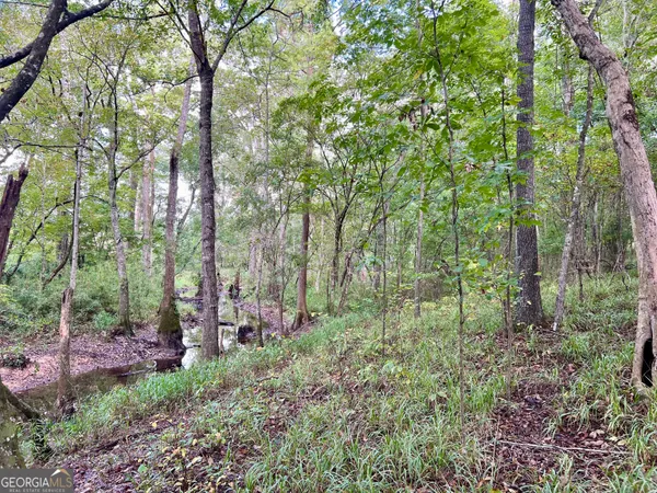 a view of a big yard