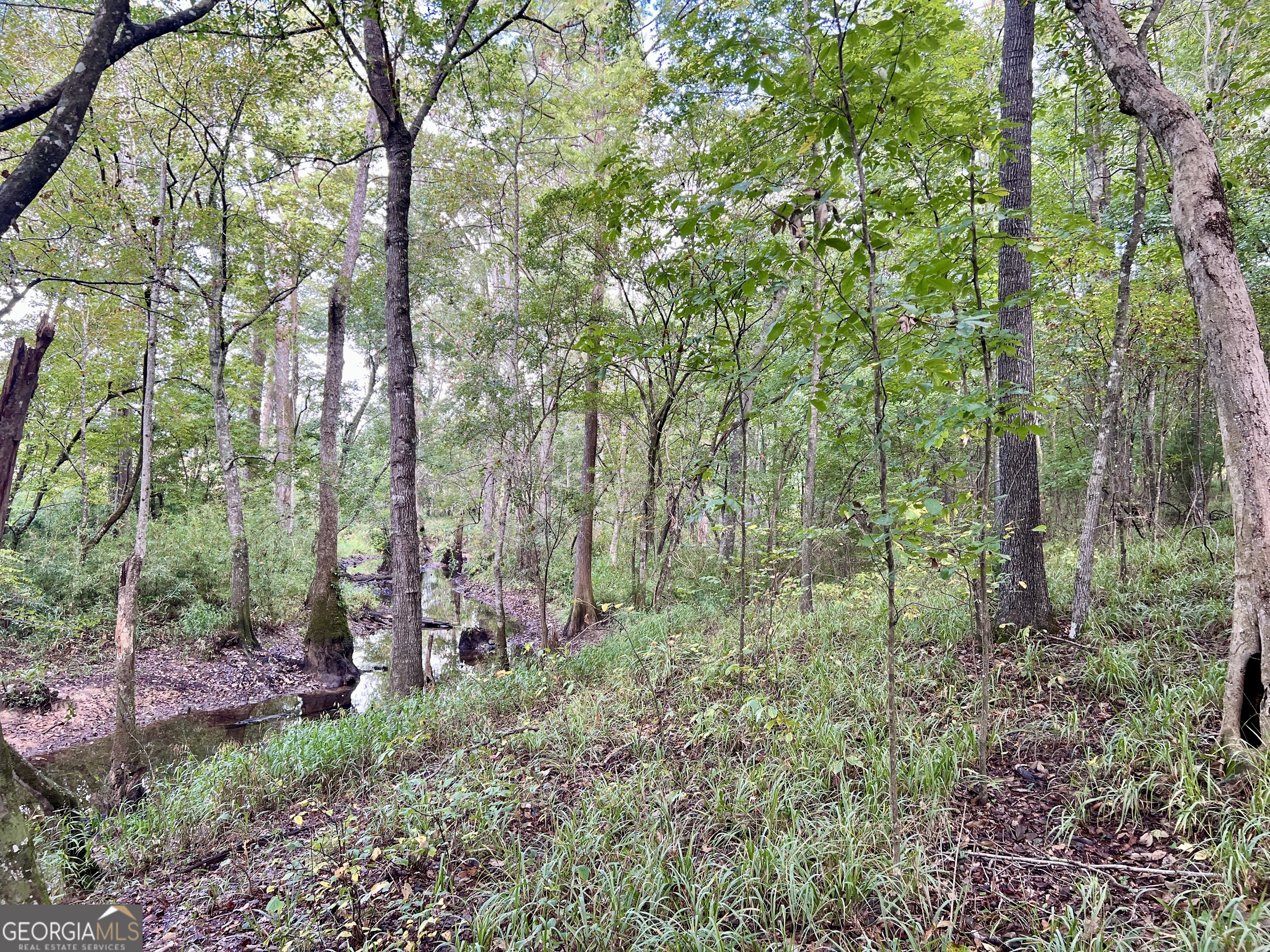 136 Pope Road Pineview, GA 31071 - Photo 47 of 58 a backyard of a house with lots of green space and trees