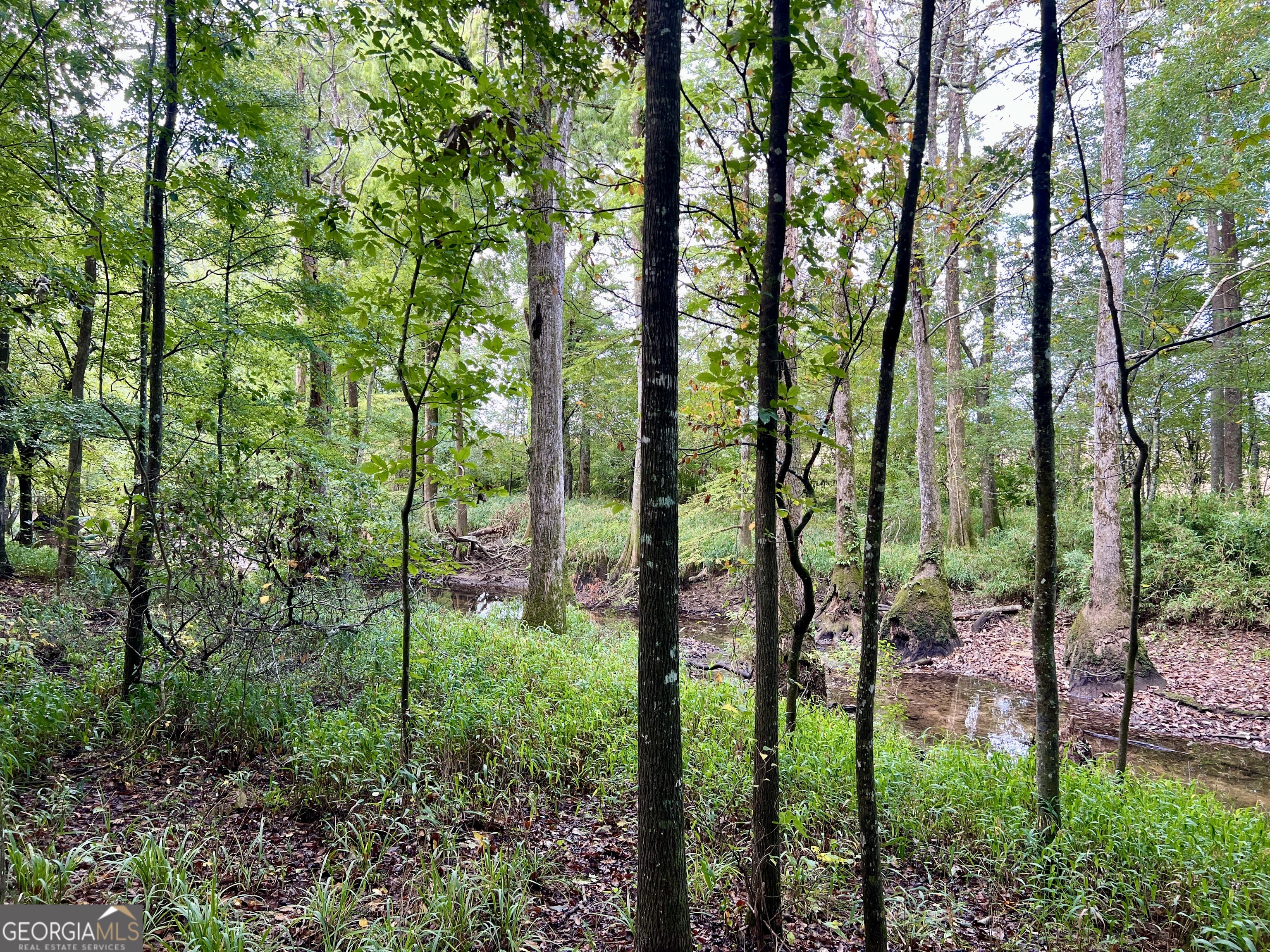 136 Pope Road Pineview, GA 31071 - Photo 48 of 58