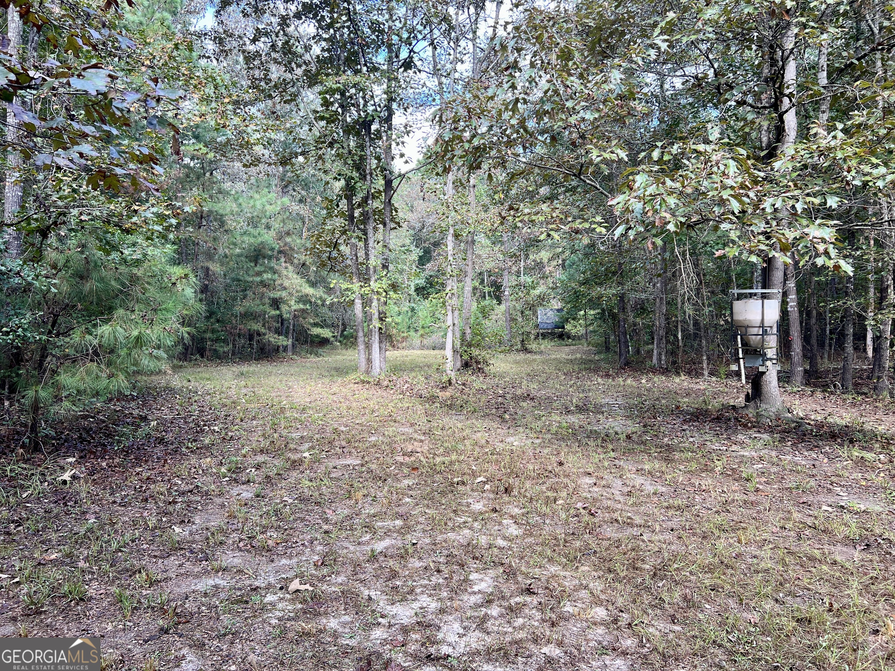 136 Pope Road Pineview, GA 31071 - Photo 49 of 58 a view of a forest with trees in the background