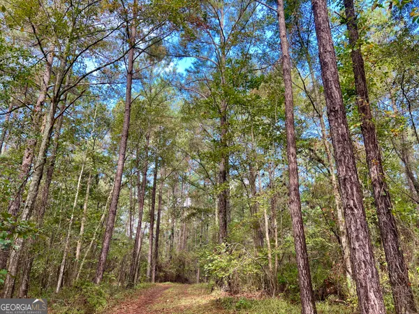 a view of outdoor space and green space
