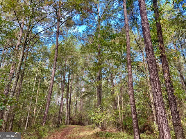 a view of outdoor space and green space