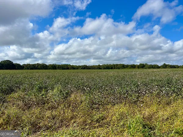 $950,000 | 136 Pope Road, Pineview, GA 31071