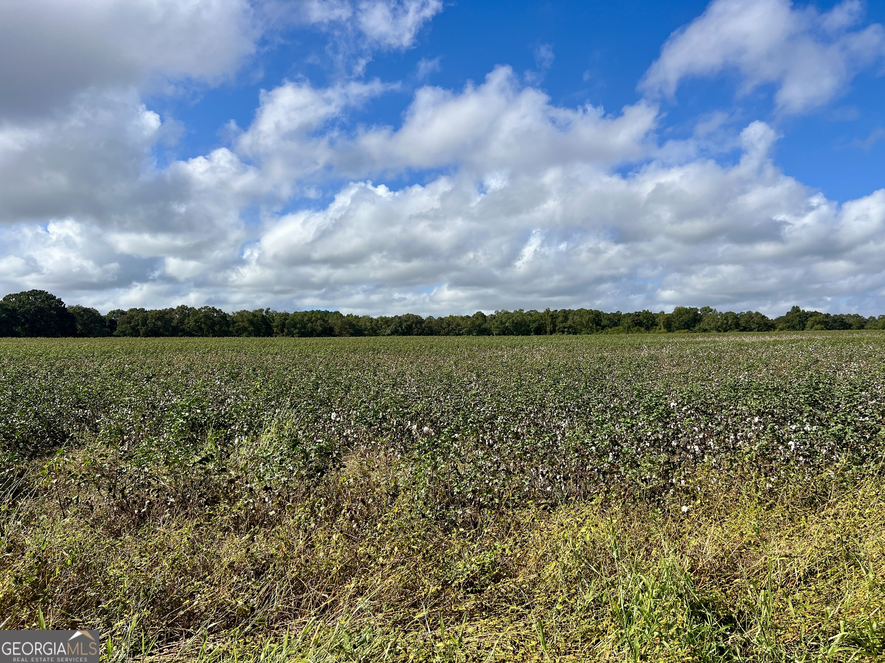 136 Pope Road Pineview, GA 31071 - Photo 51 of 58 a view of a lake