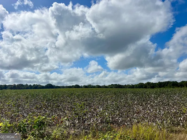 $950,000 | 136 Pope Road, Pineview, GA 31071