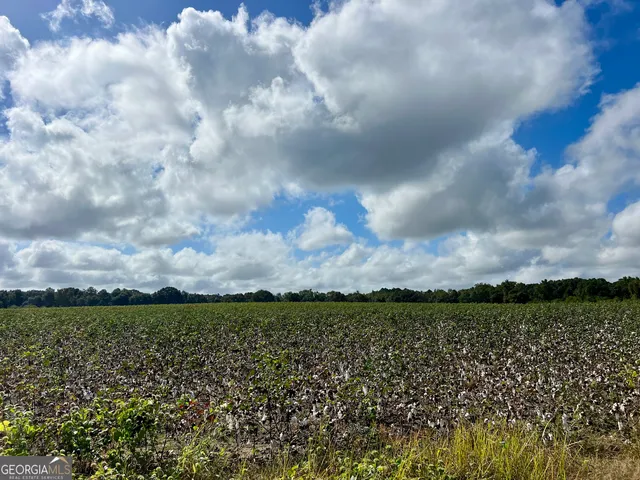 $950,000 | 136 Pope Road, Pineview, GA 31071