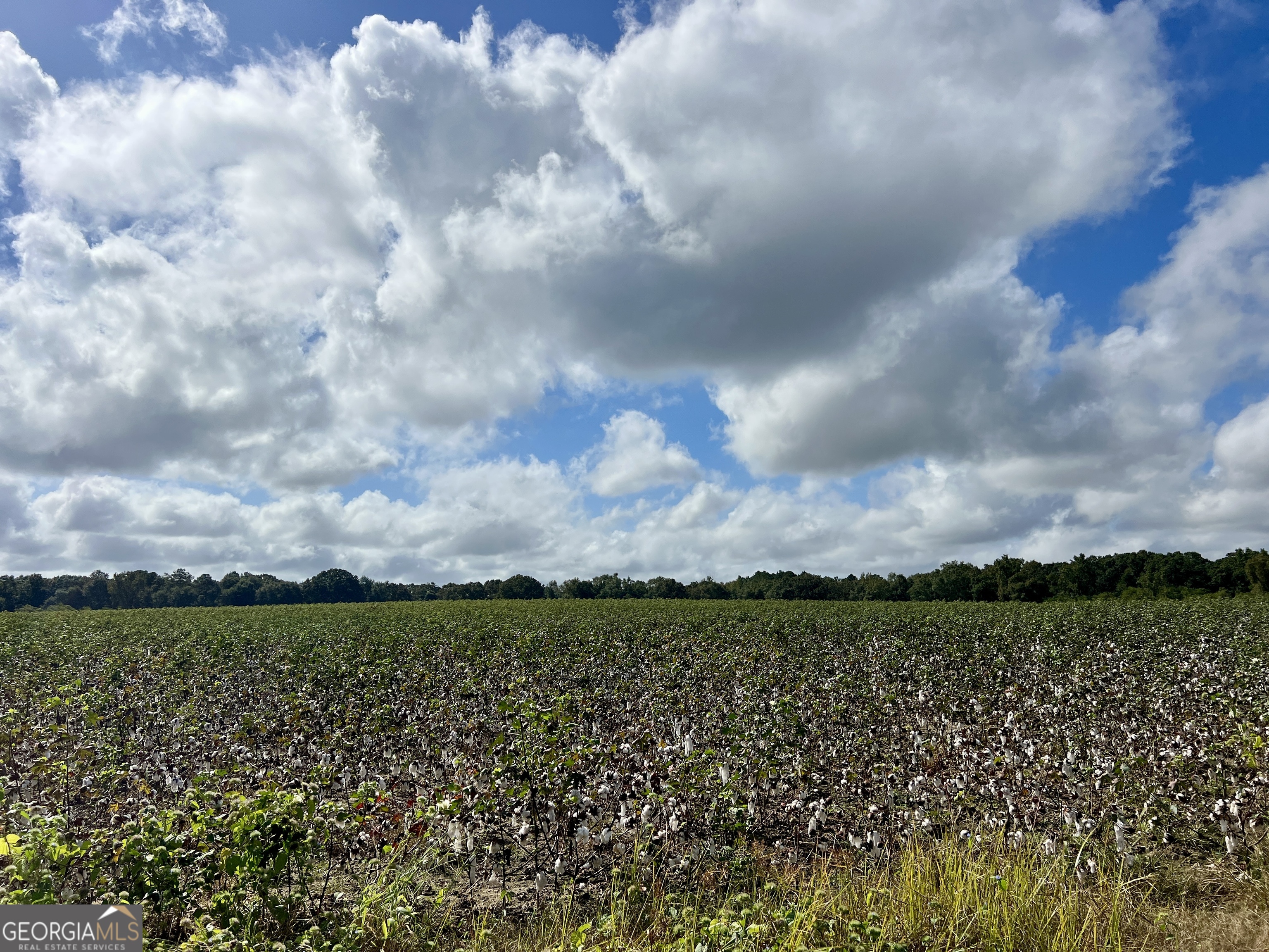 136 Pope Road Pineview, GA 31071 - Photo 52 of 58 a view of a city