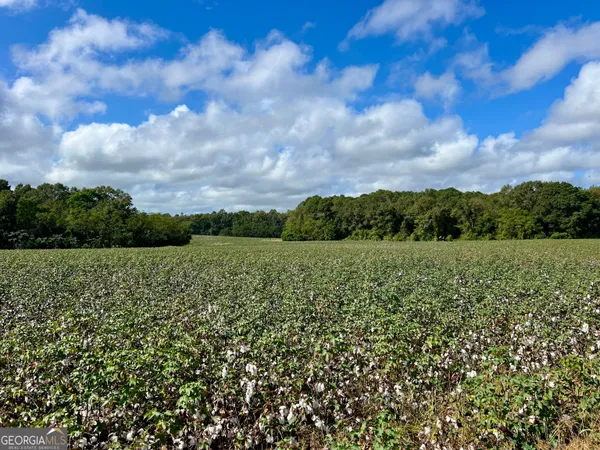 $950,000 | 136 Pope Road, Pineview, GA 31071