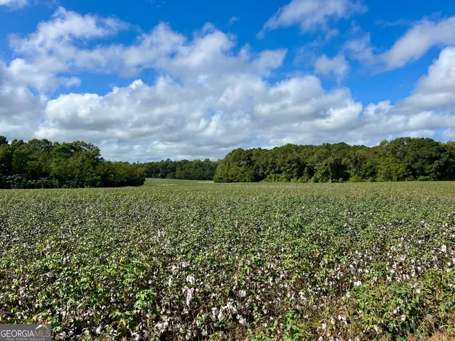 $950,000 | 136 Pope Road, Pineview, GA 31071