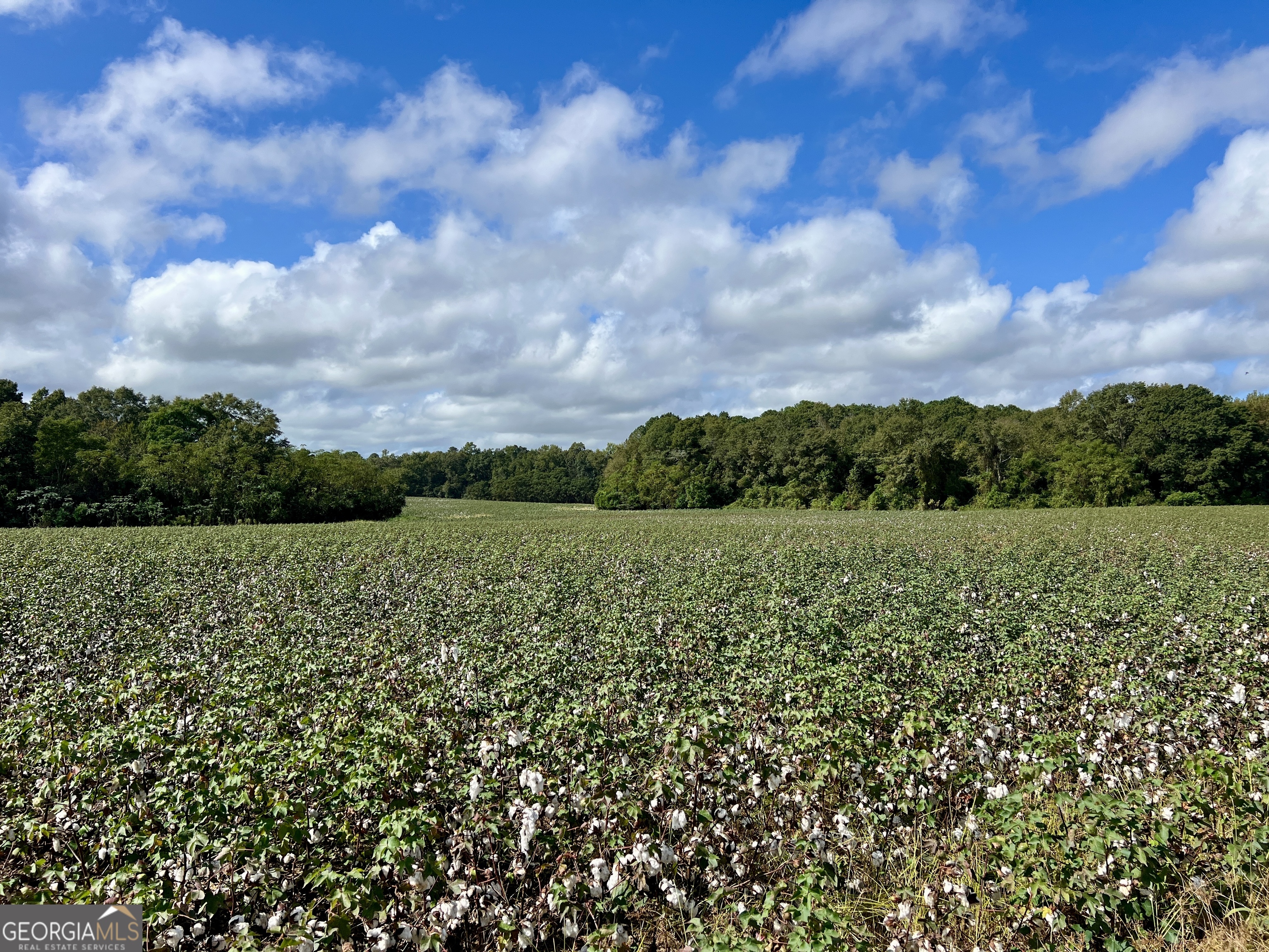 136 Pope Road Pineview, GA 31071 - Photo 53 of 58 a view of a green field