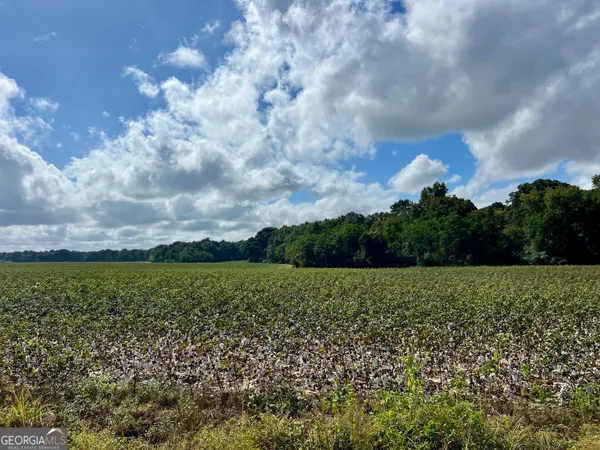 $950,000 | 136 Pope Road, Pineview, GA 31071