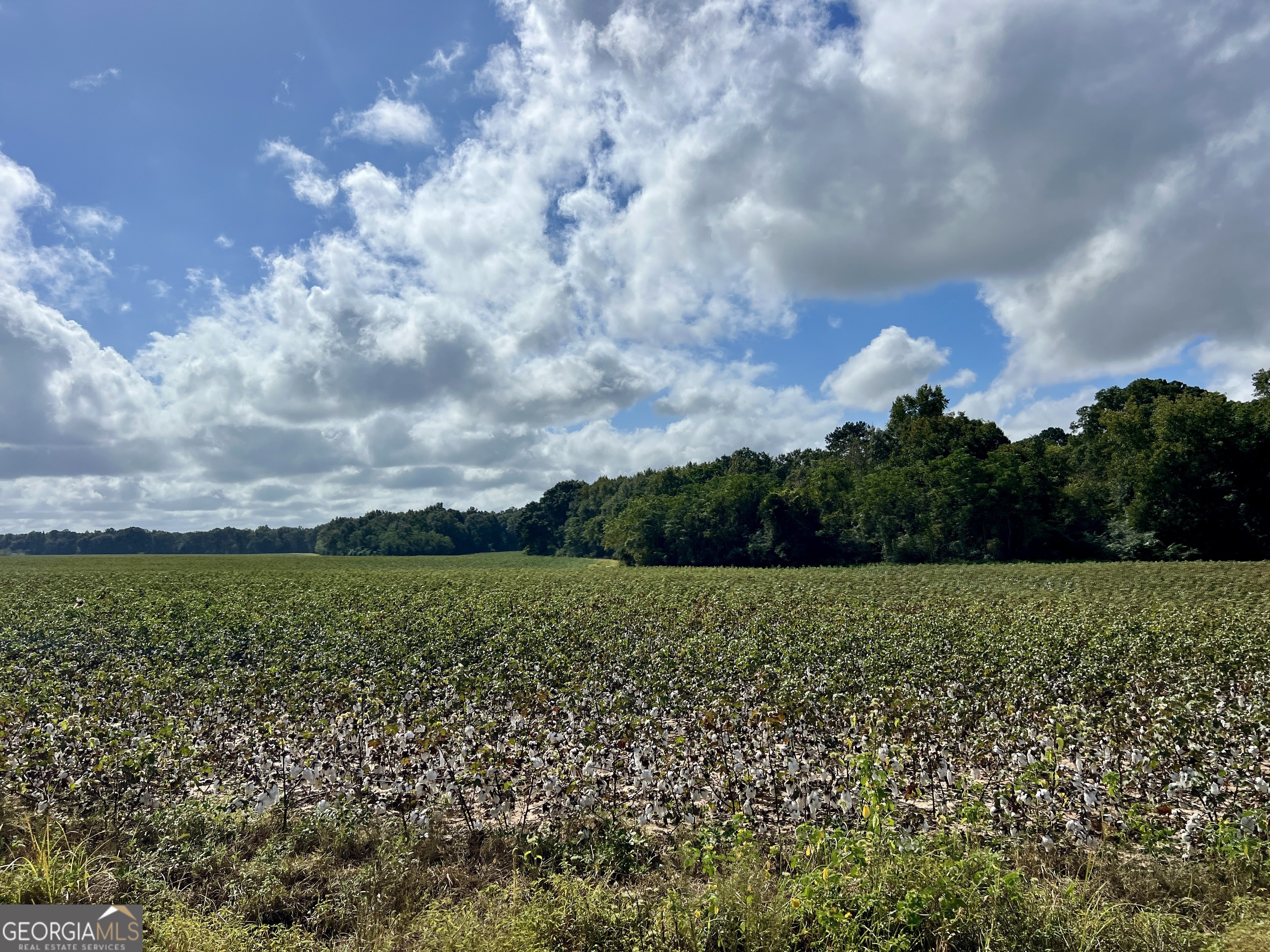 136 Pope Road Pineview, GA 31071 - Photo 54 of 58 a view of a big yard