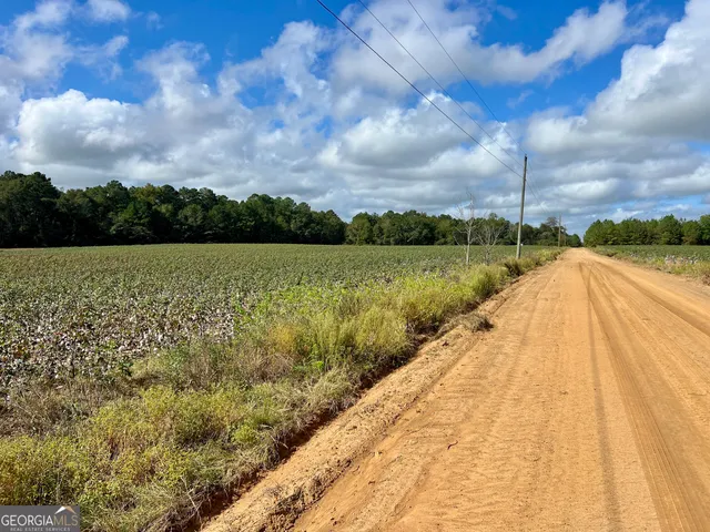 $950,000 | 136 Pope Road, Pineview, GA 31071