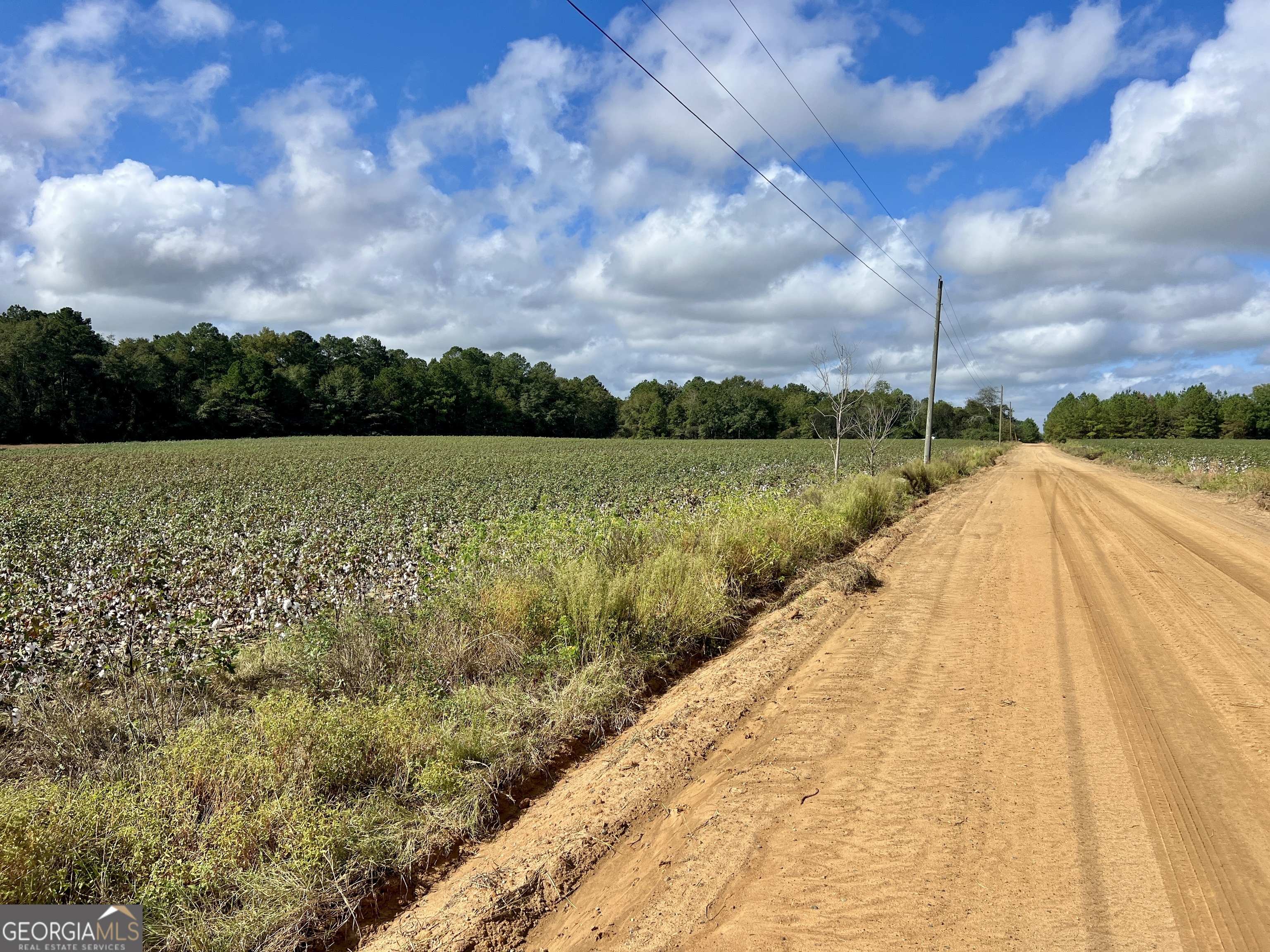 136 Pope Road Pineview, GA 31071 - Photo 55 of 58 a view of lake