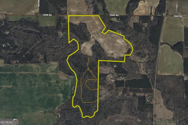 $950,000 | 136 Pope Road, Pineview, GA 31071