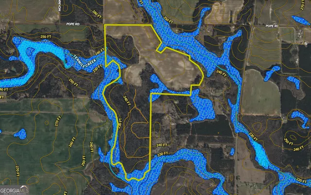 $950,000 | 136 Pope Road, Pineview, GA 31071