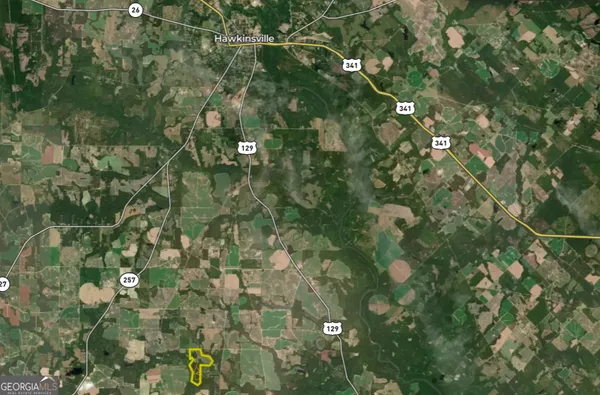 $950,000 | 136 Pope Road, Pineview, GA 31071