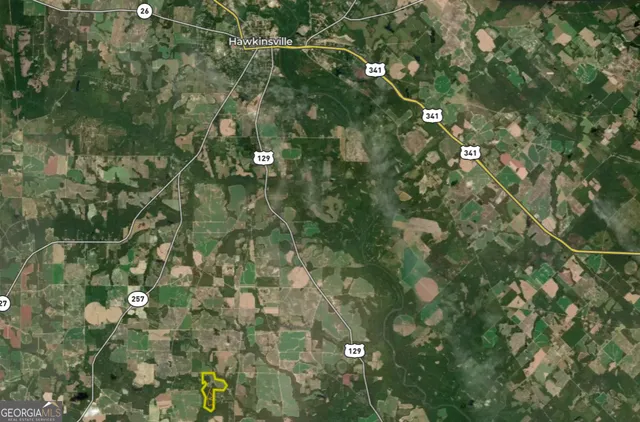 $950,000 | 136 Pope Road, Pineview, GA 31071