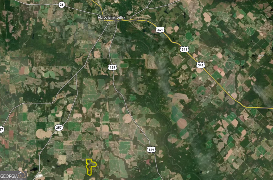 136 Pope Road Pineview, GA 31071 - Photo 58 of 58 a view of a tree