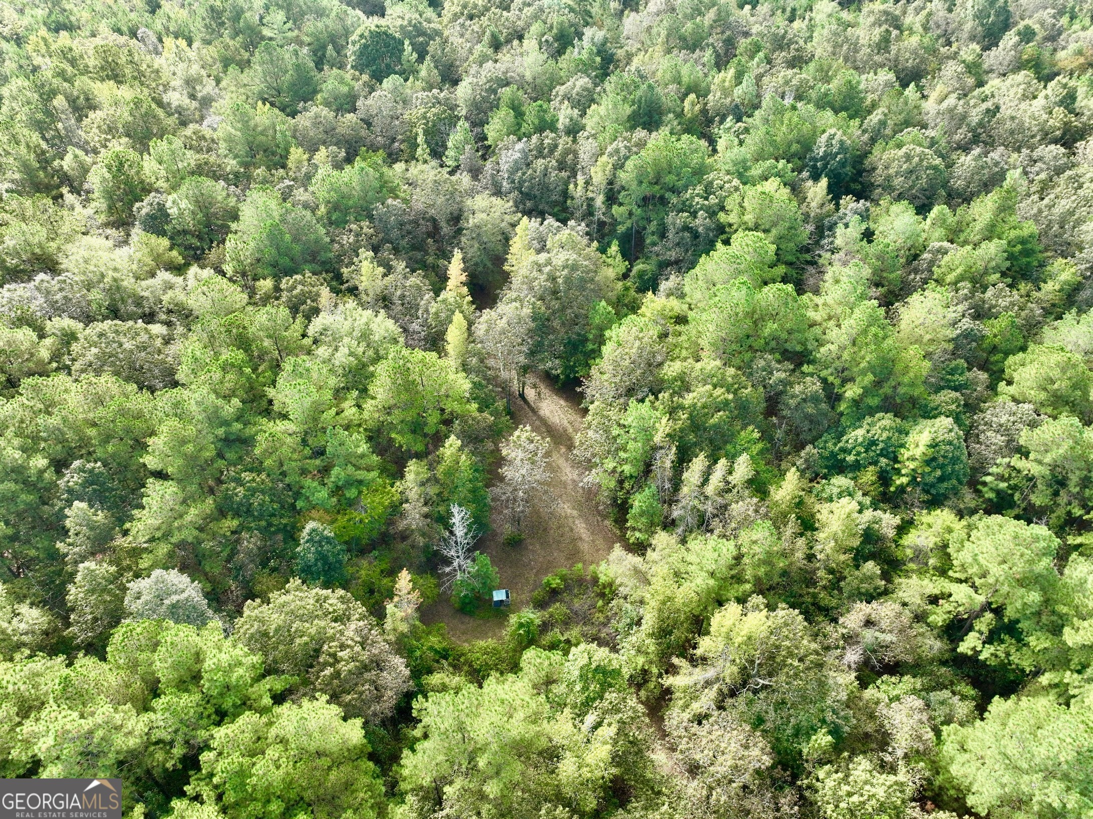 136 Pope Road Pineview, GA 31071 - Photo 6 of 58